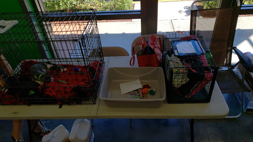 Pet Supply Store «Pet Supplies Plus», reviews and photos, 15880 San Carlos Blvd Ste 190, Fort Myers, FL 33908, USA