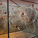 Photo n°3 de l'avis de Paogle. fait le 13/08/2019 à 21:00 sur le  Castel Pergine à Pergine Valsugana