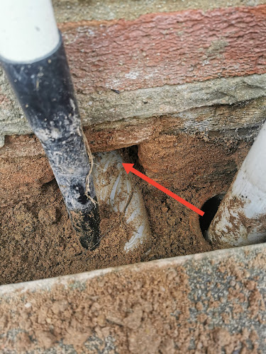 Comments and reviews of Gary Matthews, Mole/Wasp/Ant/Rodent Control+Drain survey.(Near me)