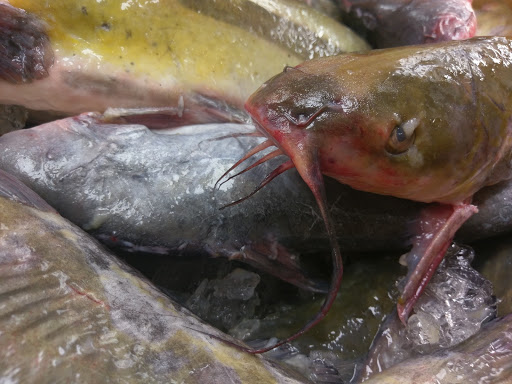 Convenience Store «Son Atlantic Market», reviews and photos, 135 Main St # 1, Danbury, CT 06810, USA