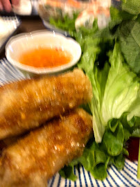 Rouleau de printemps du Restaurant vietnamien Restaurant Pink Lotus à Villeneuve-Loubet - n°9