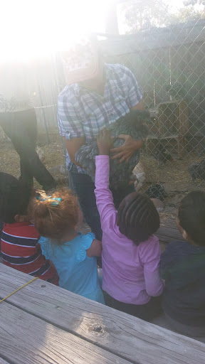 Zoo «Jr Pony Parties», reviews and photos, 1744 N Leonard Ln, Las Vegas, NV 89108, USA