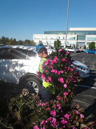 Auto Repair Shop «Meineke Car Care Center», reviews and photos, 5323 West 38th Street, Indianapolis, IN 46254, USA