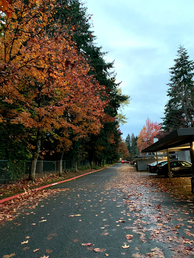 Community Center «North Bellevue Community Center», reviews and photos, 4063 148th Ave NE, Bellevue, WA 98007, USA