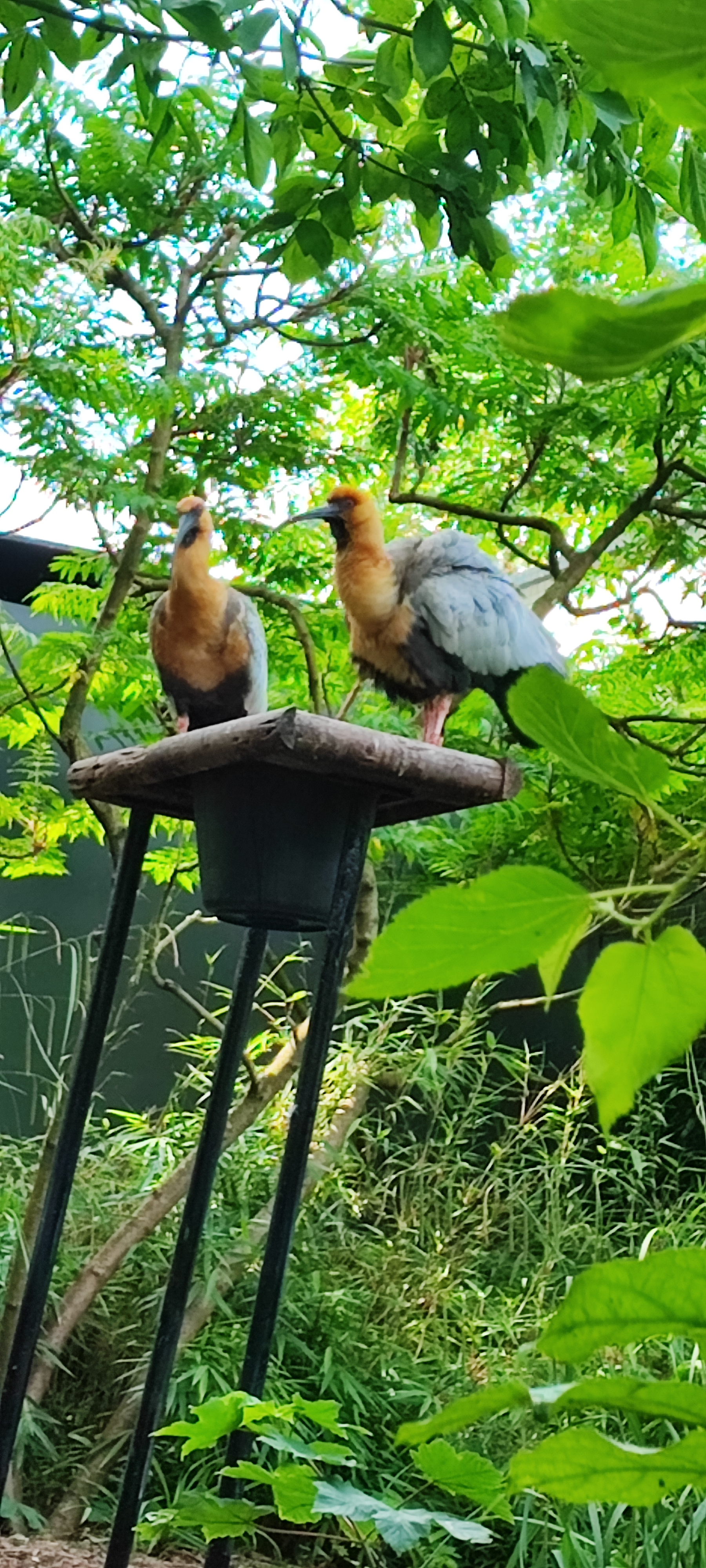 Photo n° 1 de l'avis de Nicolas.r fait le 28/05/2022 à 16:10