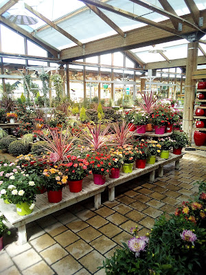 botanic Thonon-les-Bains à Thonon-les-Bains