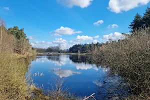 Bourley Lakes image