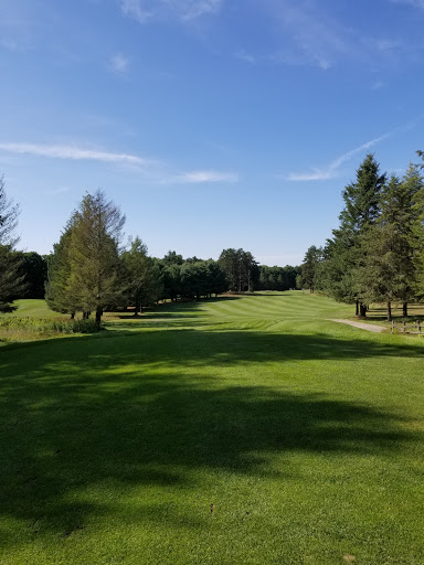 Golf Course «Pinecroft Golf Course», reviews and photos, 8260 Henry Rd, Benzonia, MI 49616, USA