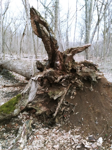 Golf Course «Woodruff Golf Course», reviews and photos, 621 Gougar Rd, Joliet, IL 60432, USA