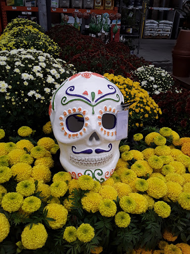 Home Improvement Store «The Home Depot», reviews and photos, 3200 Puente Ave, Baldwin Park, CA 91706, USA