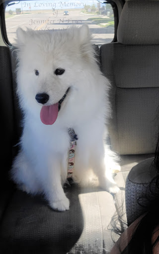 Pet Supply Store «Petco Animal Supplies», reviews and photos, 5843 N Elizabeth St, Pueblo, CO 81008, USA