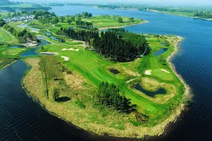 Tulfarris Golf Club image