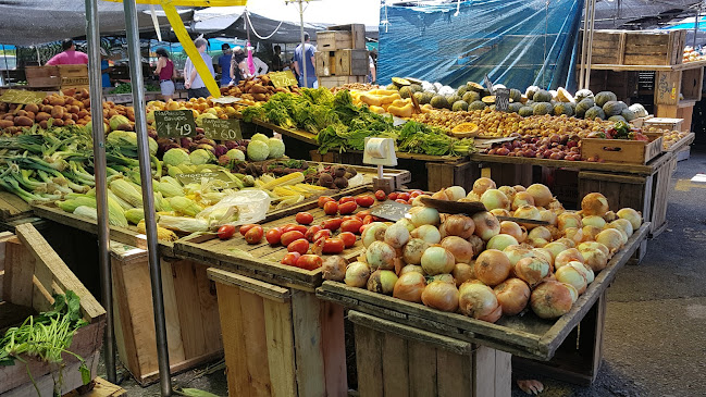 Opiniones de Feria Maldonado en Rocha - Frutería