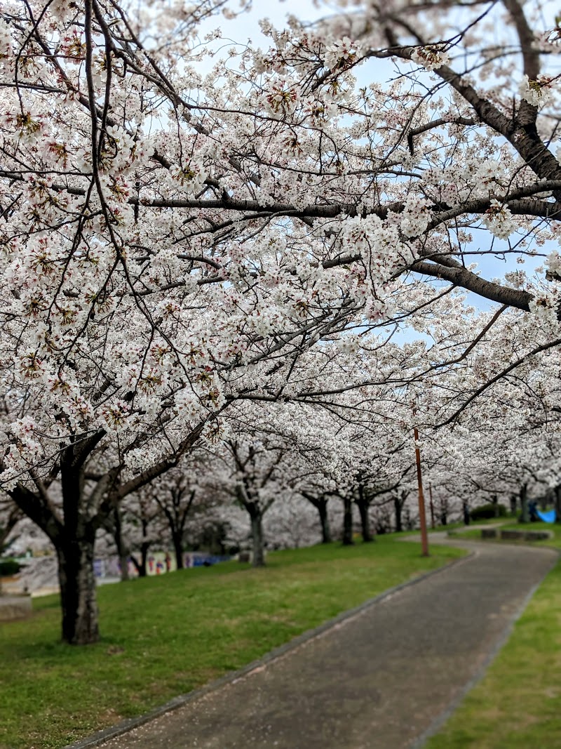 中干出公園