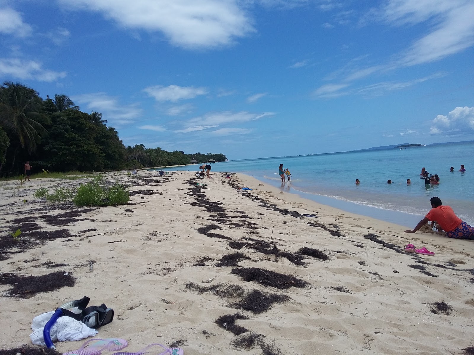 Foto af Salt Creek Beach beliggende i naturområde