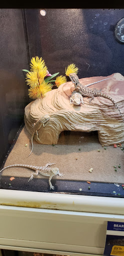 Pet Supply Store «PetSmart», reviews and photos, 2122 N 2nd St, Millville, NJ 08332, USA