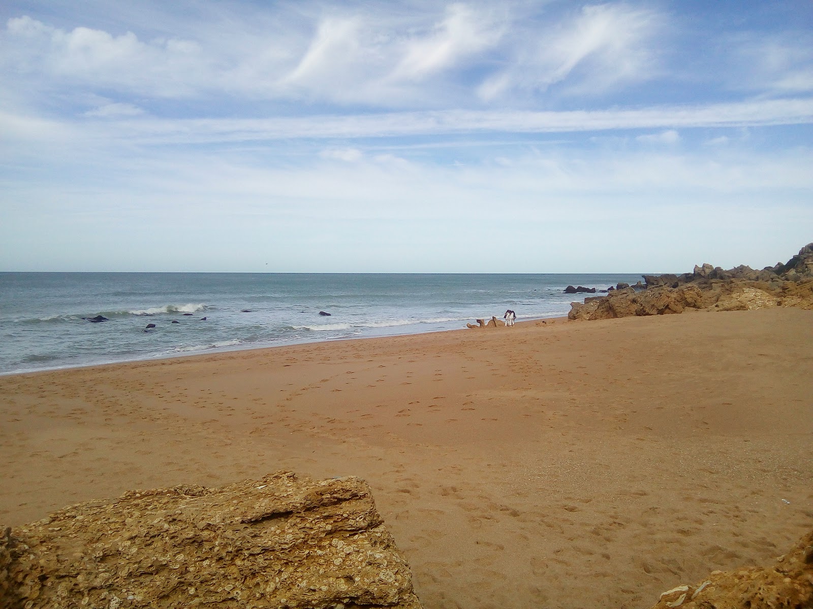Foto di Cala Puntalejo con baia piccola