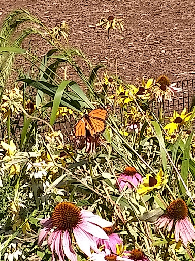 Park «Welles Park», reviews and photos, 2333 W Sunnyside Ave, Chicago, IL 60625, USA