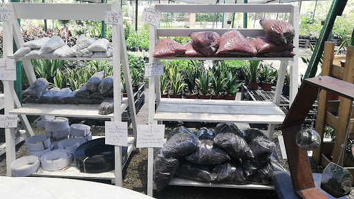 Tiendas de venta de semillas en San Pedro Sula