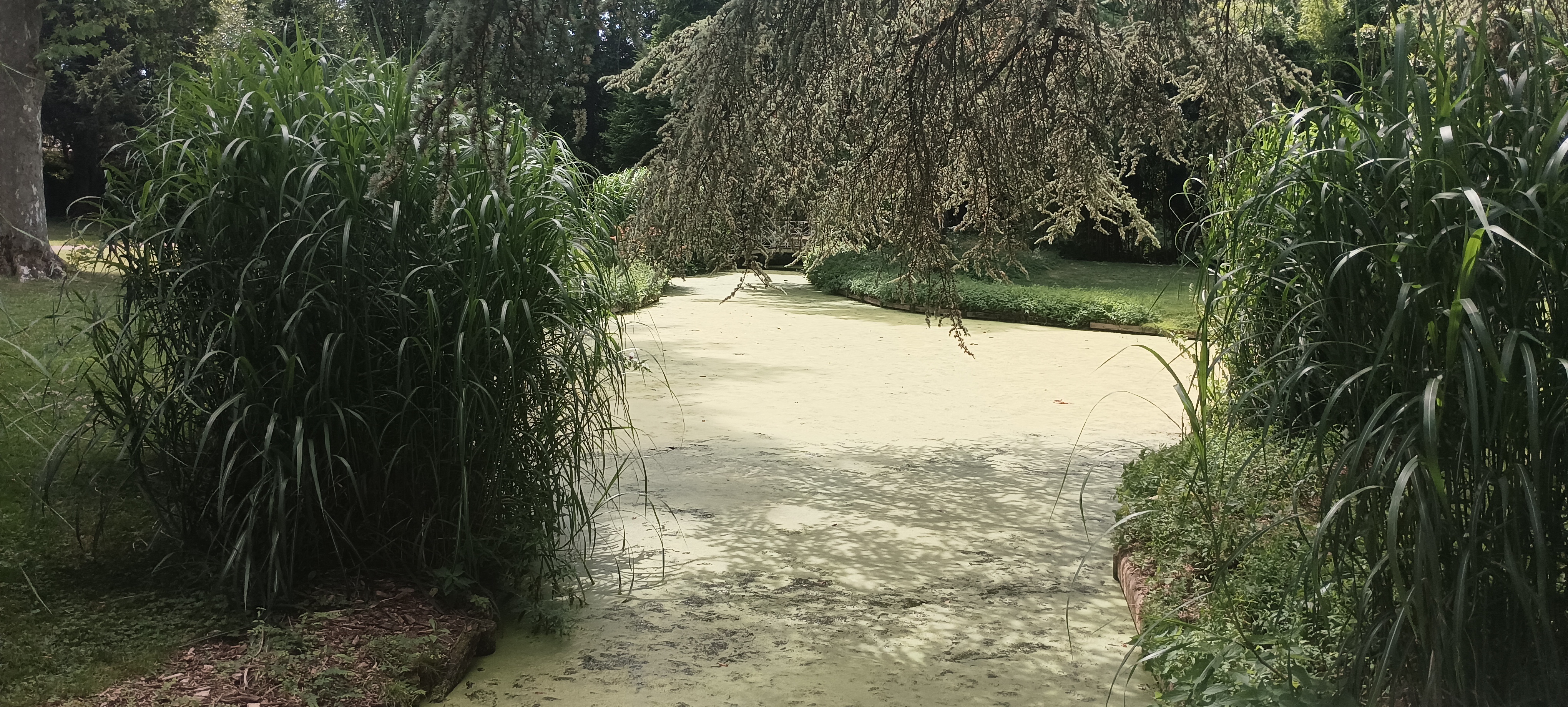 Photo n° 3 de l'avis de Adèle.a fait le 17/07/2022 à 16:19