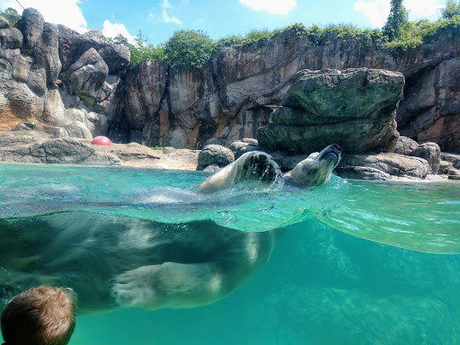 Zoo «North Carolina Zoo», reviews and photos, 4401 Zoo Pkwy, Asheboro, NC 27205, USA