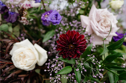 Florist «Daffodil Parker», reviews and photos, 544 W Washington Ave, Madison, WI 53703, USA