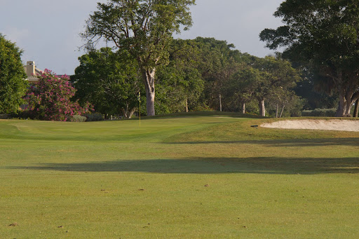 Golf Course «Sanibel Island Golf Club», reviews and photos, 1100 Par View Dr, Sanibel, FL 33957, USA