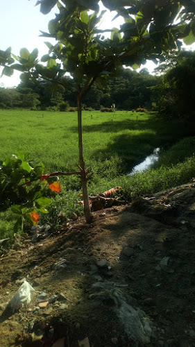 Colegio Antonia Santos Sede Cristo Rey - Escuela