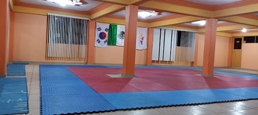 ESCUELA DE TAEKWONDO JEONSA-OSOS LOS REYES