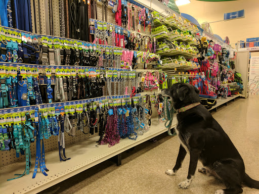 Pet Supply Store «PetSmart», reviews and photos, 412 Constant Friendship Blvd, Abingdon, MD 21009, USA