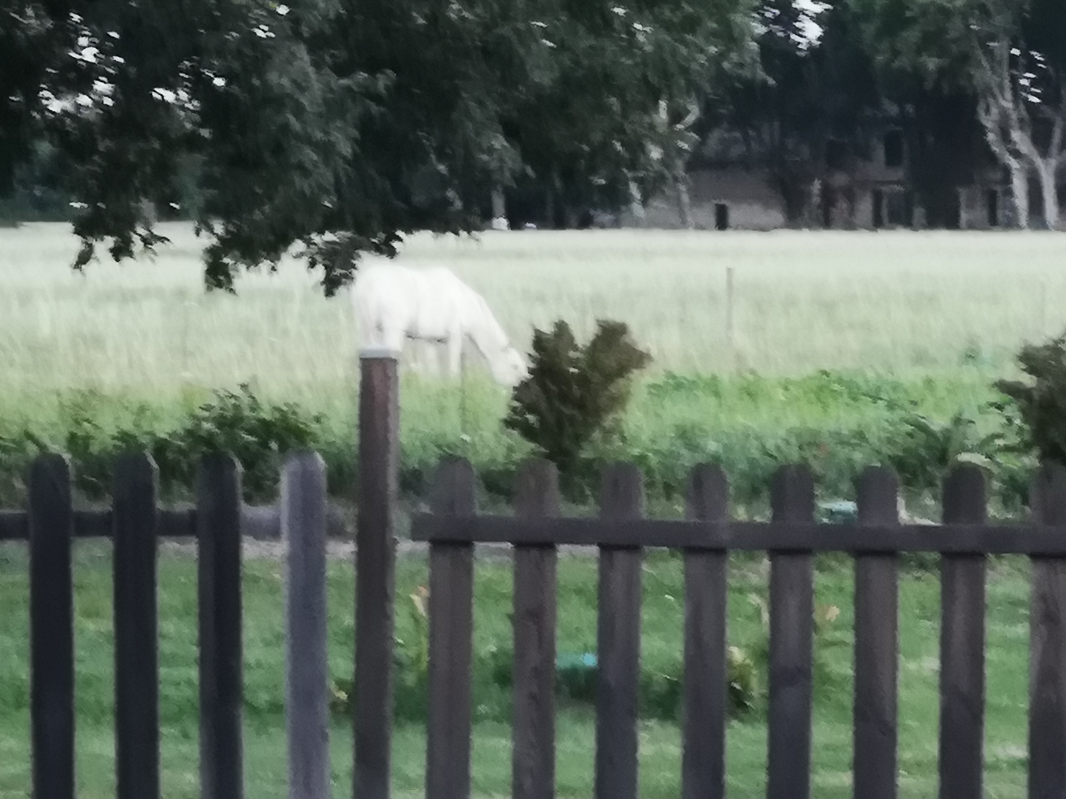 Photo n° 1 de l'avis de Marina.o fait le 16/07/2018 à 19:10