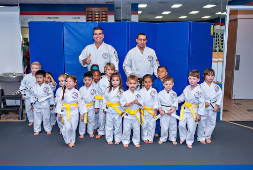 American Martial Arts Academy image