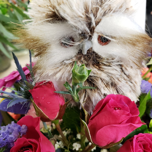 Florist «Carrolls Florist of Beverly», reviews and photos, 385 Cabot St, Beverly, MA 01915, USA