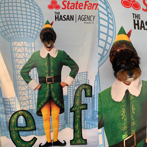 Insurance Agency «State Farm: Mansour Hasan», reviews and photos