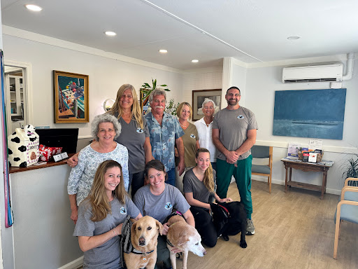 Wellfleet Veterinary Hospital