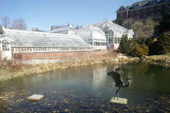 The Botanic Garden of Smith College