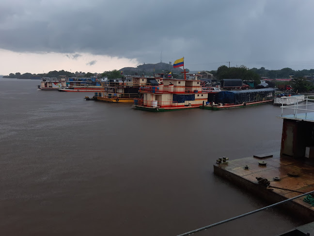 Puerto Fluvial de Puerto Carreño - Otro