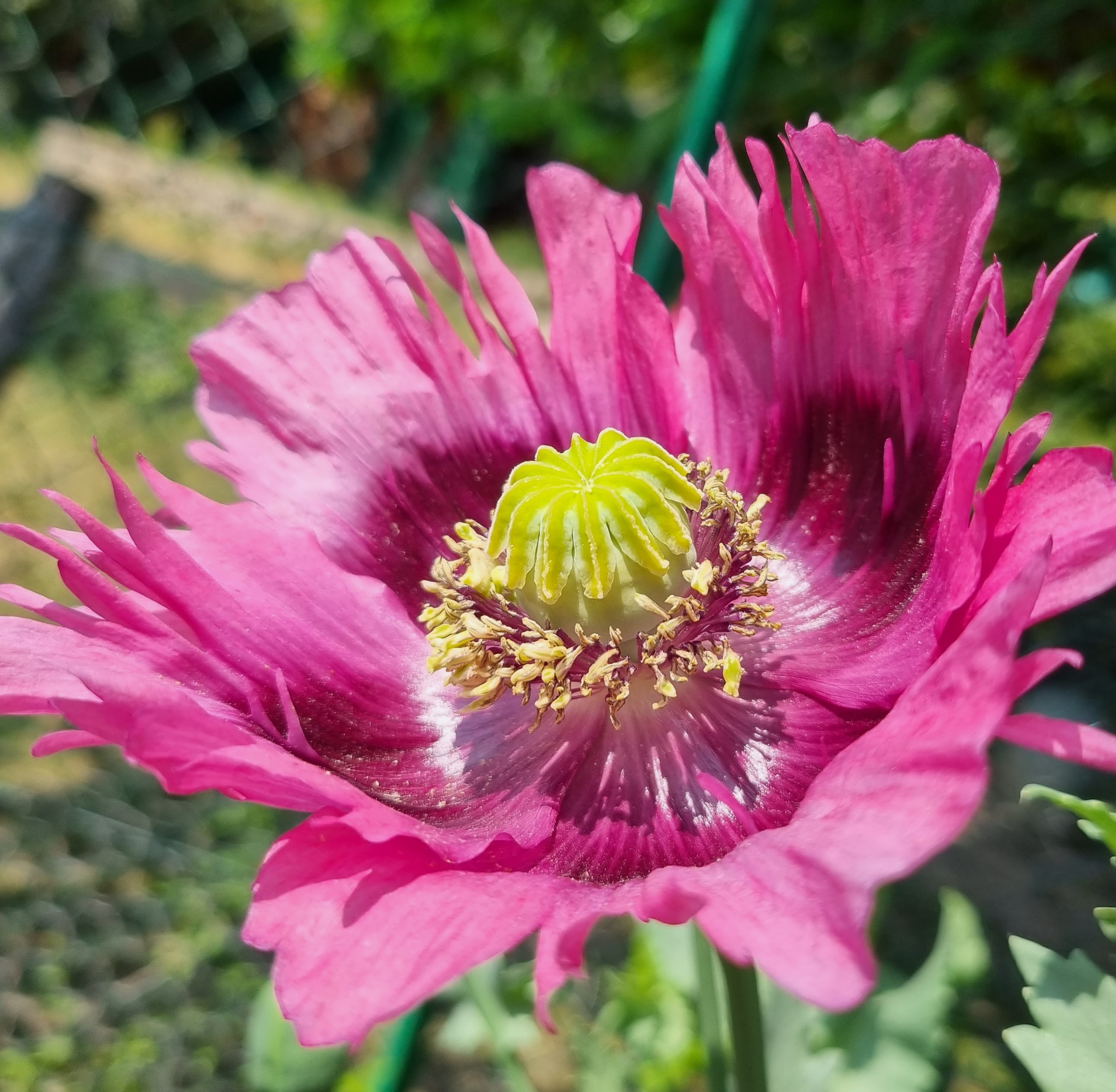 Photo n° 25 de l'avis de Sabine.o fait le 13/06/2023 à 19:16