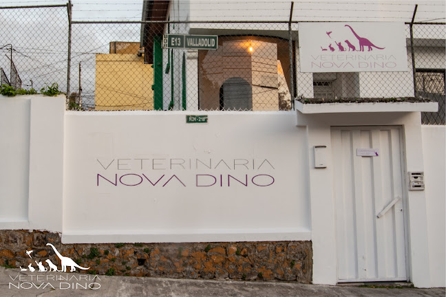 Veterinaria Nova Dino