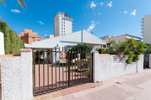 Neptuno Inmobiliaria Playa Gandía - Alquileres en Platja de Gandia