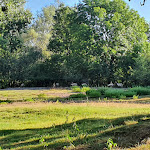 Photo n° 18 de l'avis de Sylvie.e fait le 06/08/2020 à 12:29 pour Le Moulin de Montferney à Montferney