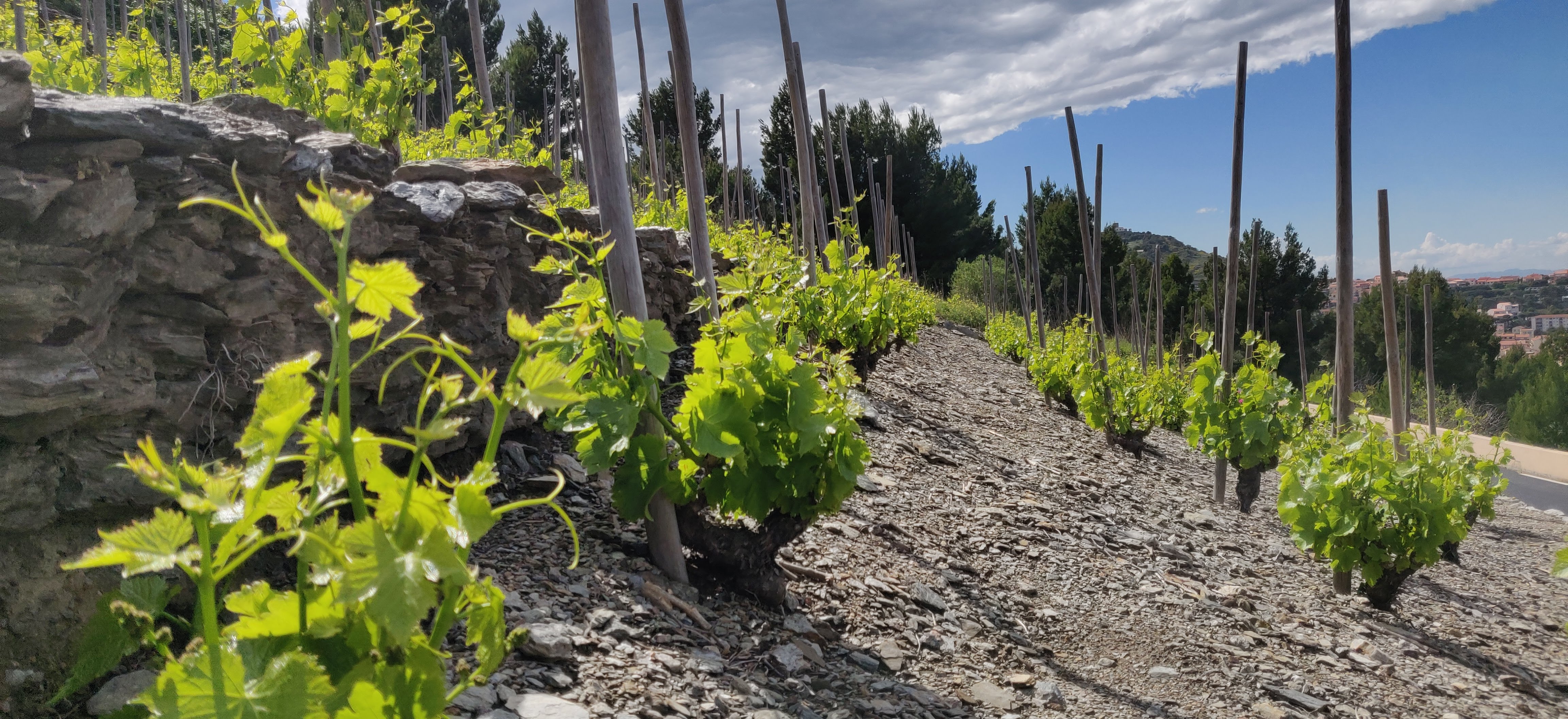Photo n° 8 de l'avis de Patrice.s fait le 15/05/2019 à 08:57