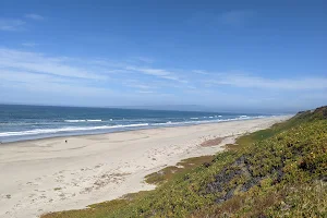Sunset State Beach image