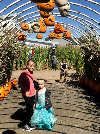 Produce Market «Kuwahara Farms», reviews and photos, 736 12300 S, Draper, UT 84020, USA