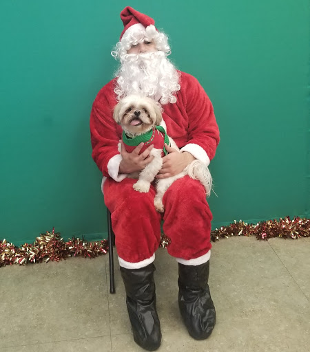 Pet Supply Store «Unleashed by Petco», reviews and photos, 8412 Georgia Ave, Silver Spring, MD 20910, USA