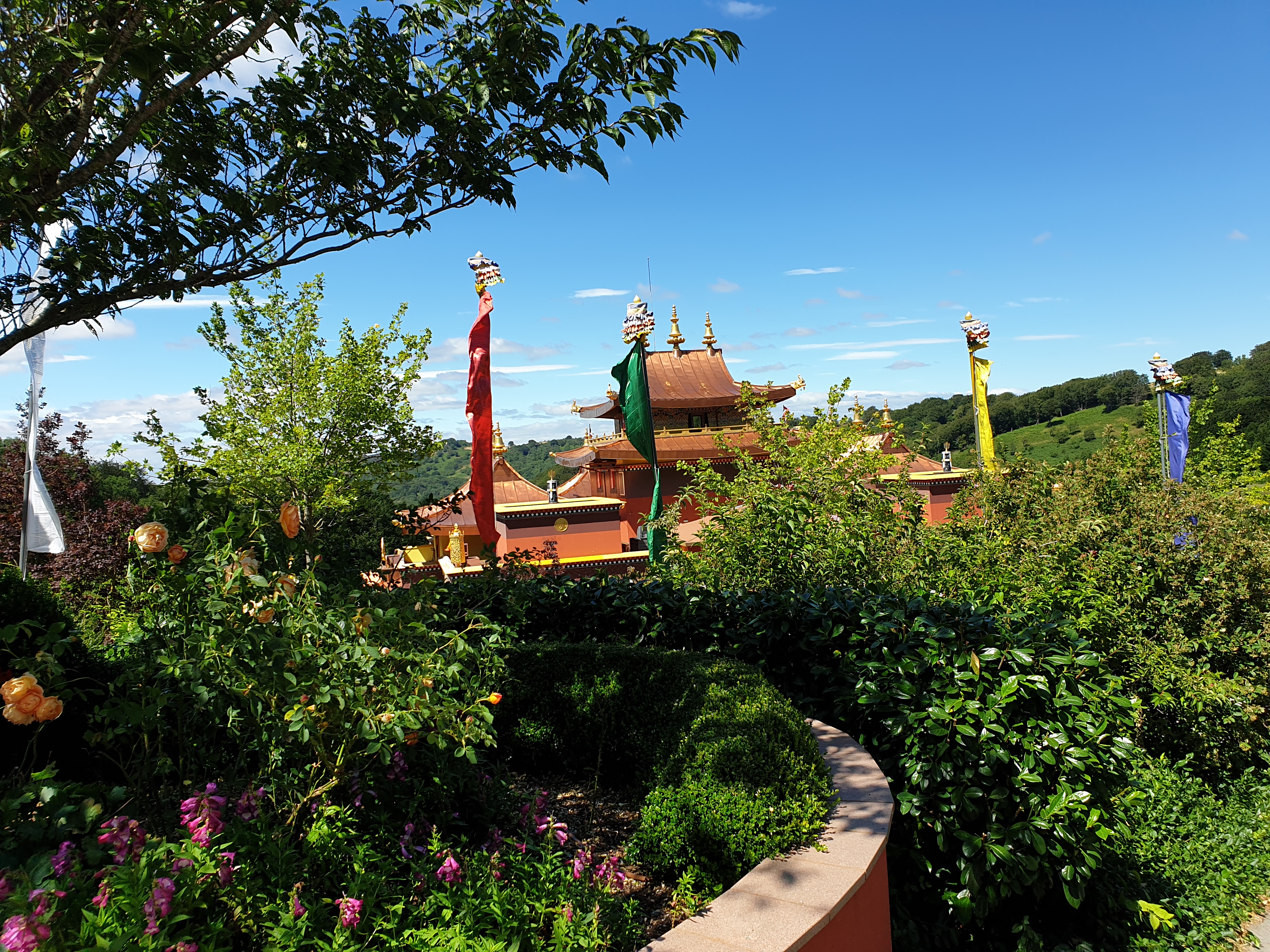 Photo n° 12 de l'avis de Lily.� fait le 19/07/2020 à 11:50