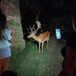 Photo n°1 de l'avis de simone.i fait le 18/08/2023 à 18:09 sur le  Baia di Conte à Alghero