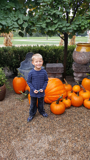 Garden «fleurdetroit (bloomfield hills)», reviews and photos, 1507 S Telegraph Rd, Bloomfield Hills, MI 48302, USA