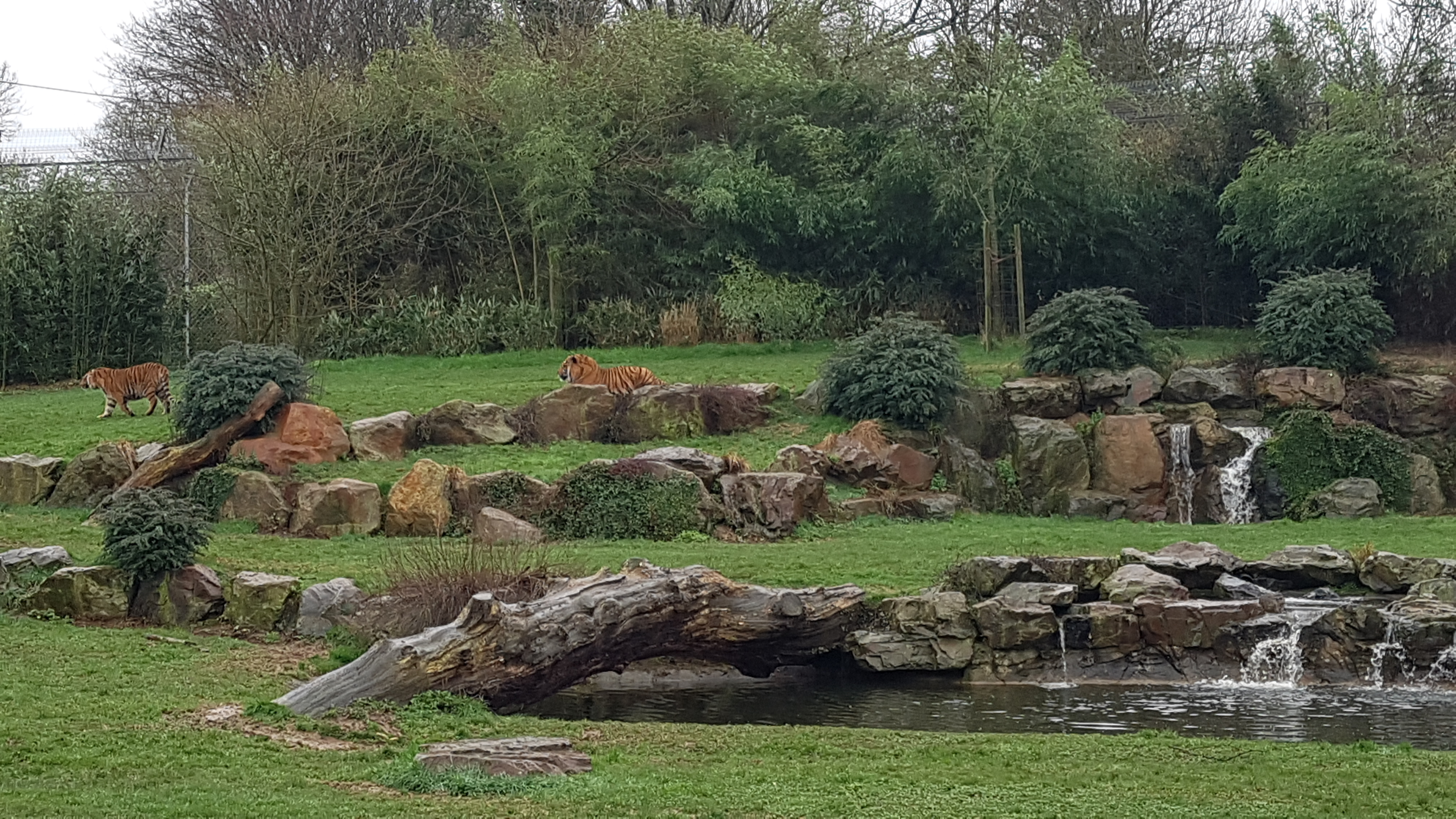 Photo n° 2 de l'avis de Clément.o fait le 17/02/2022 à 17:12