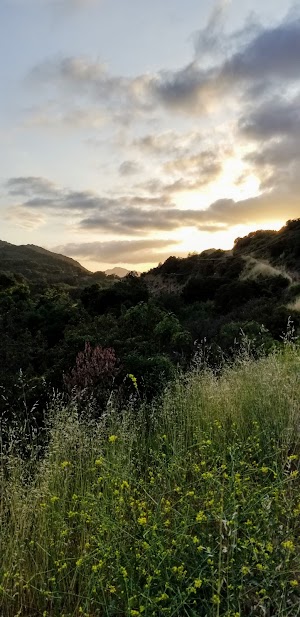 Stunt Ranch - photo 33